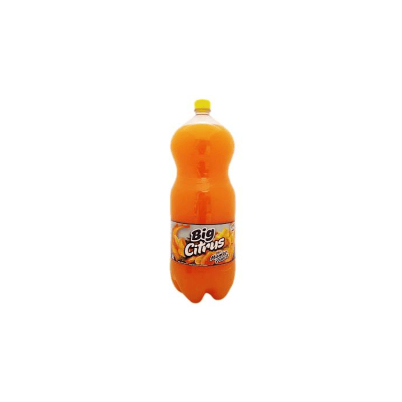 2413124-jugo-big-citrus-3