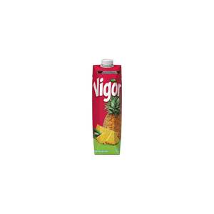 JUGO VIGOR 1.0 TETRA PINA