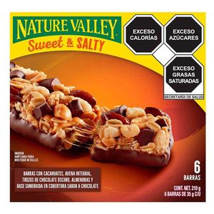 GALL. NATURE VALLEY GRANOLA AVE-CHOC