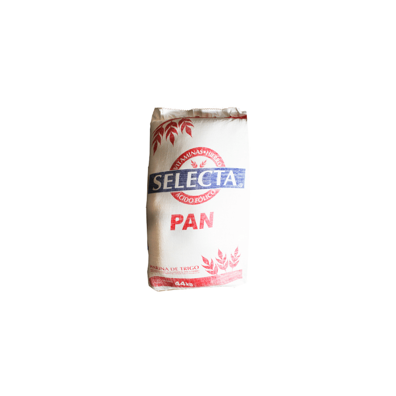 0221006-harina-selecta-44