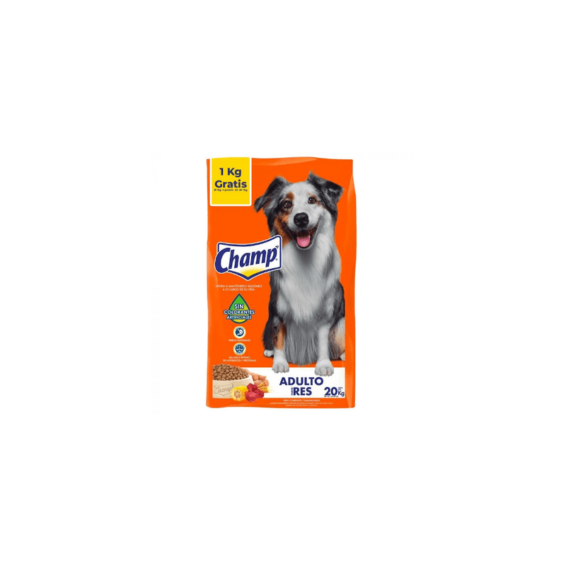 05901715-champ-bto-20