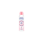 03911686-des-obao-aer-m-angel-miss